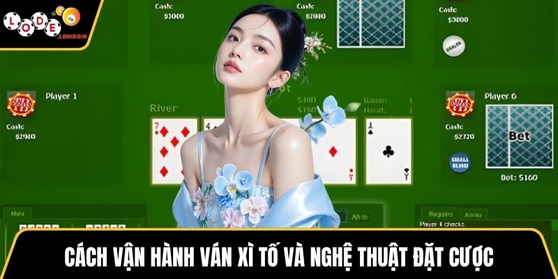 Cách vận hành ván xì tố và nghệ thuật đặt cược